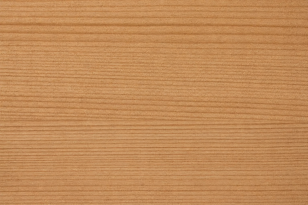 ATLAS CEDAR